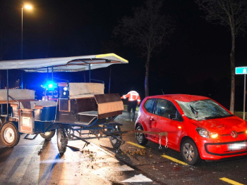 kutsche-unfall-schock-pferd