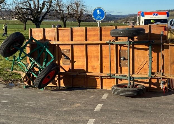 kutsche-umgekippt-unfall-pferdewagen