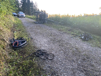 Kutsche Unfall Pferde