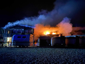 brand-in-pferdestall